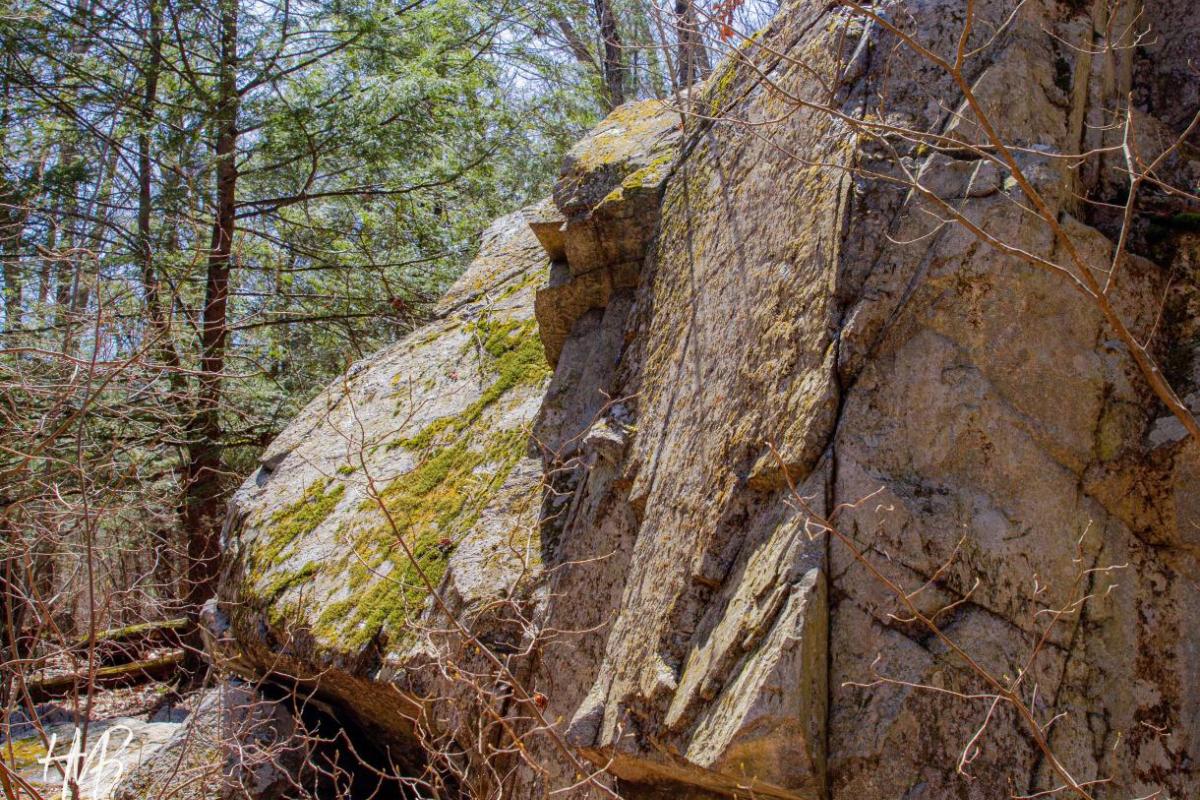 rock face in the woods