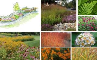 Array of plants and flowers proposed in the site landscaping