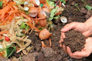 two hands holding compost with food scraps in the background