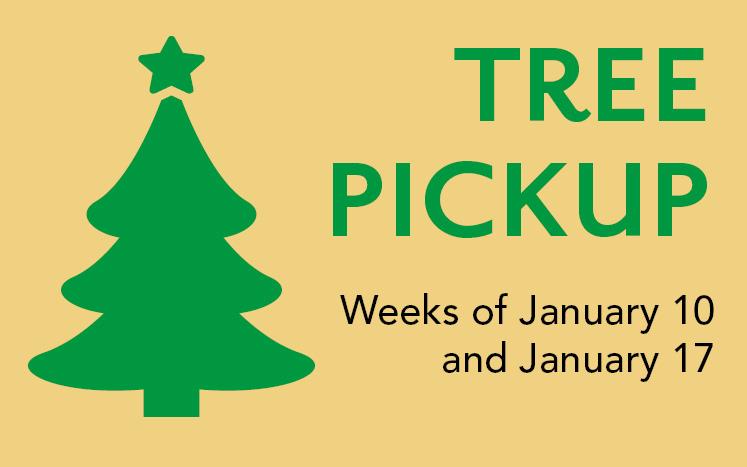 Icon of Christmas Tree with text "Tree Pickup weeks of January 10 and 17"